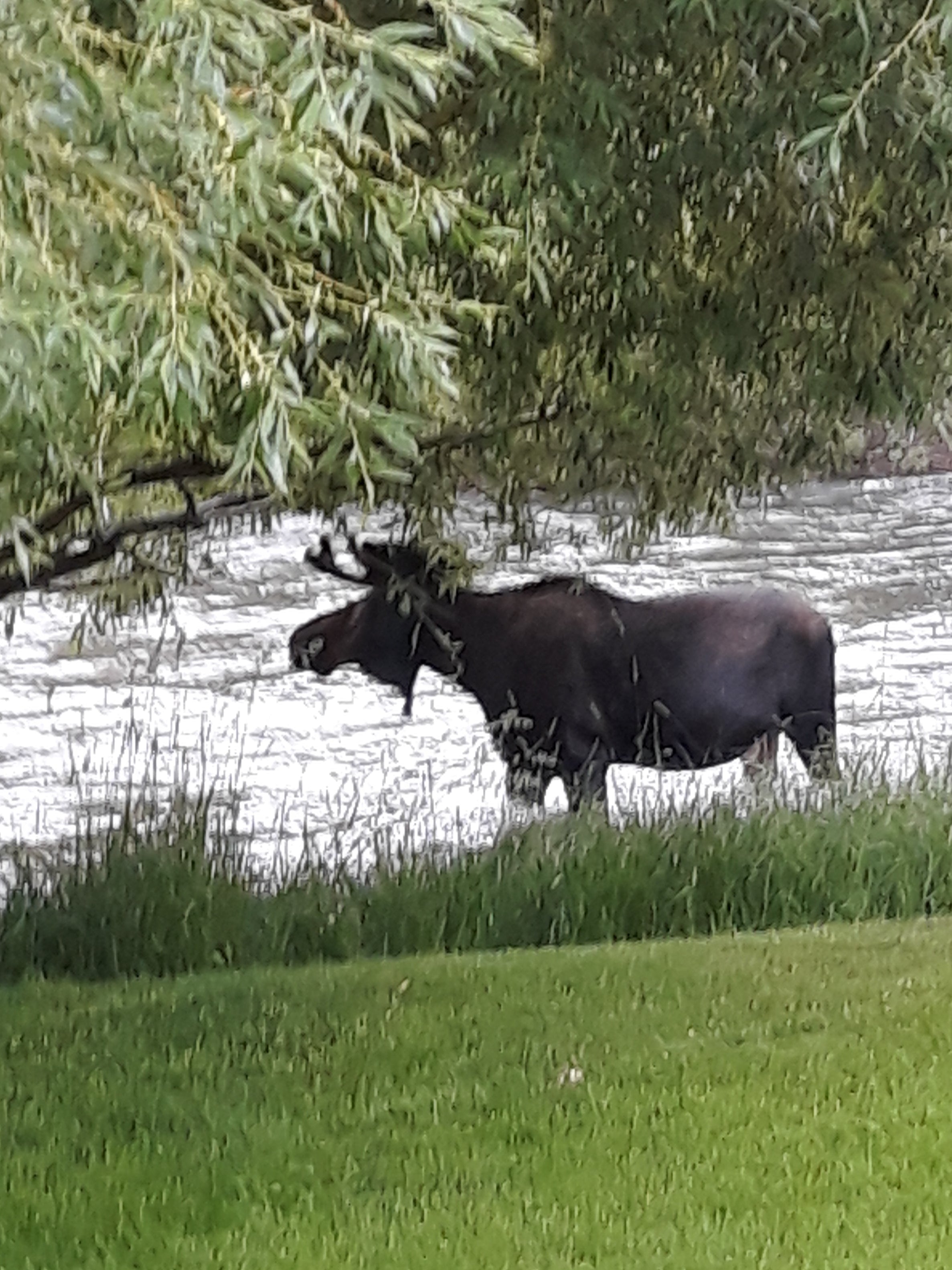 Wilson Wyoming