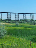 Minot Gassman Coulee Trestle