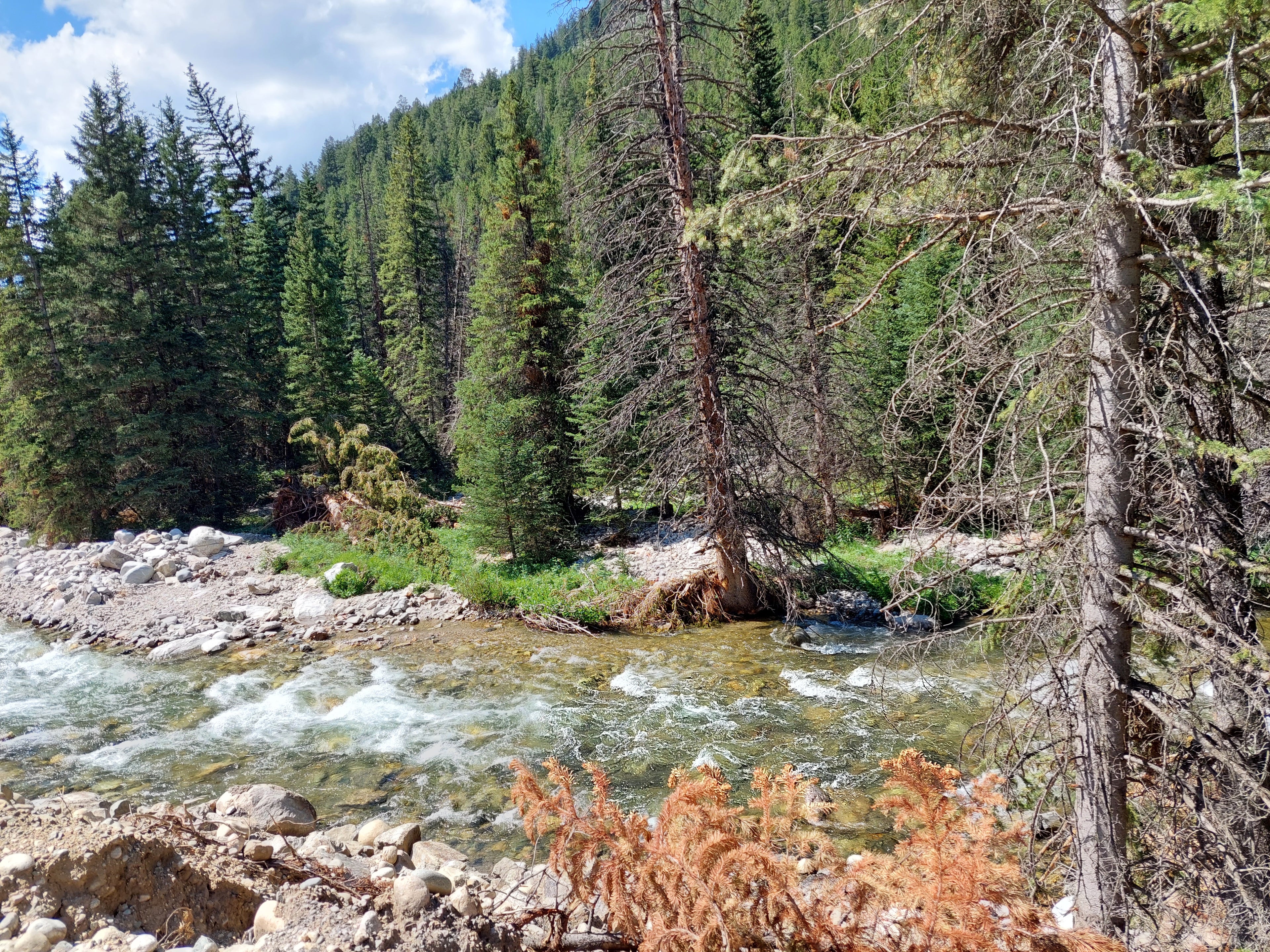 Bear Tooth Highway Montana Wyoming