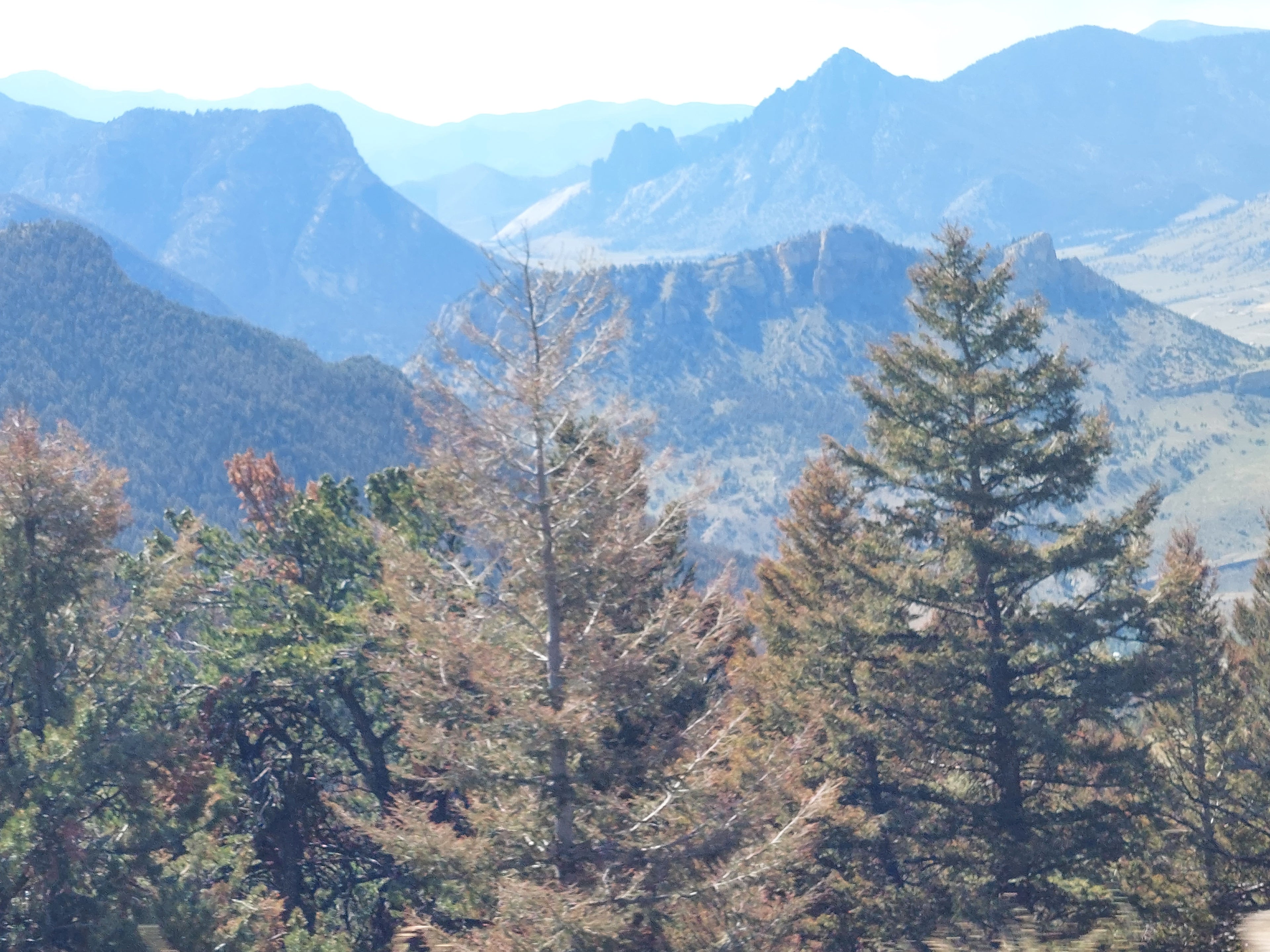 Bear Tooth Highway Wyoming Side
