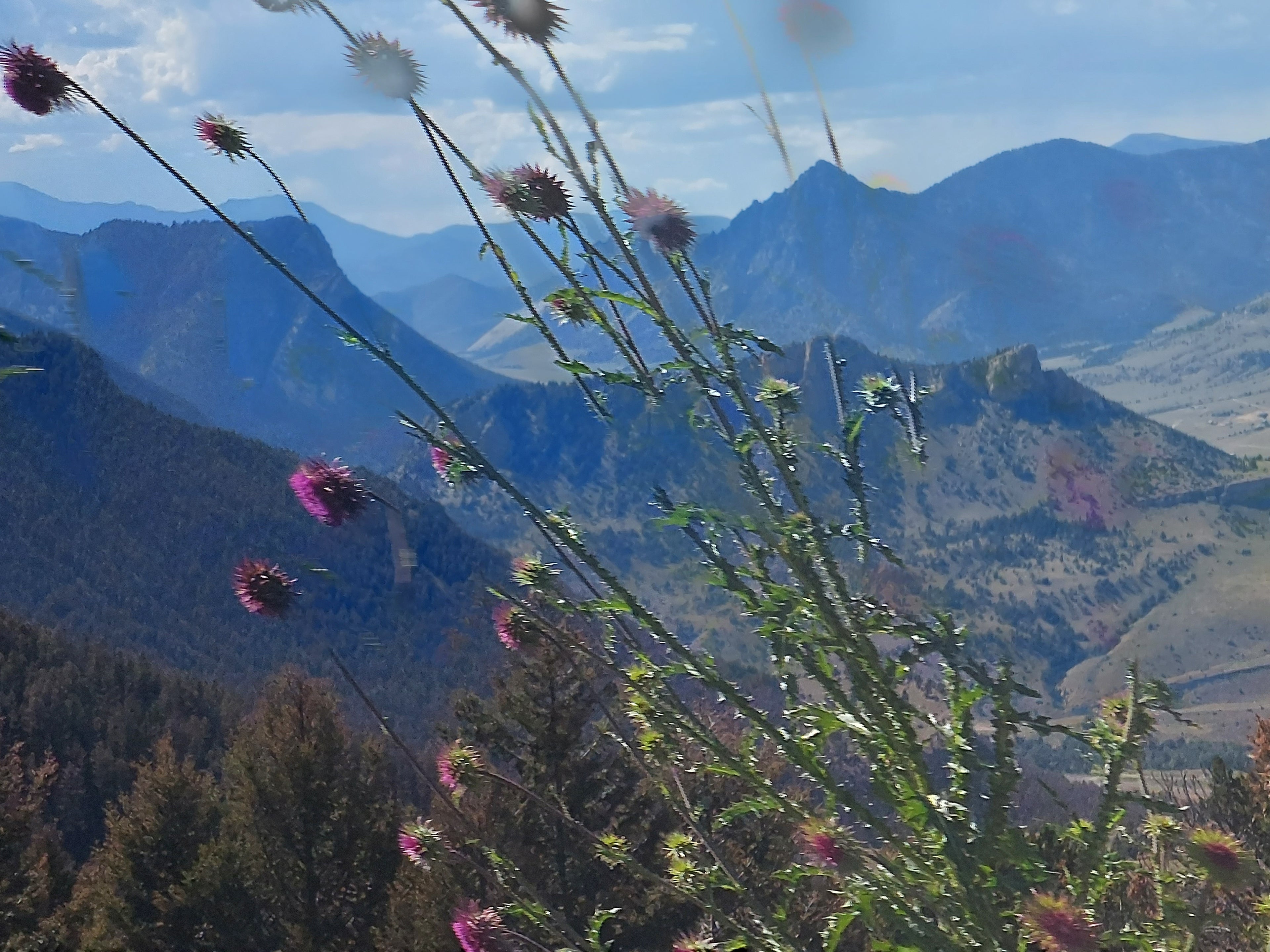 Bear Tooth Highway Wyoming Side