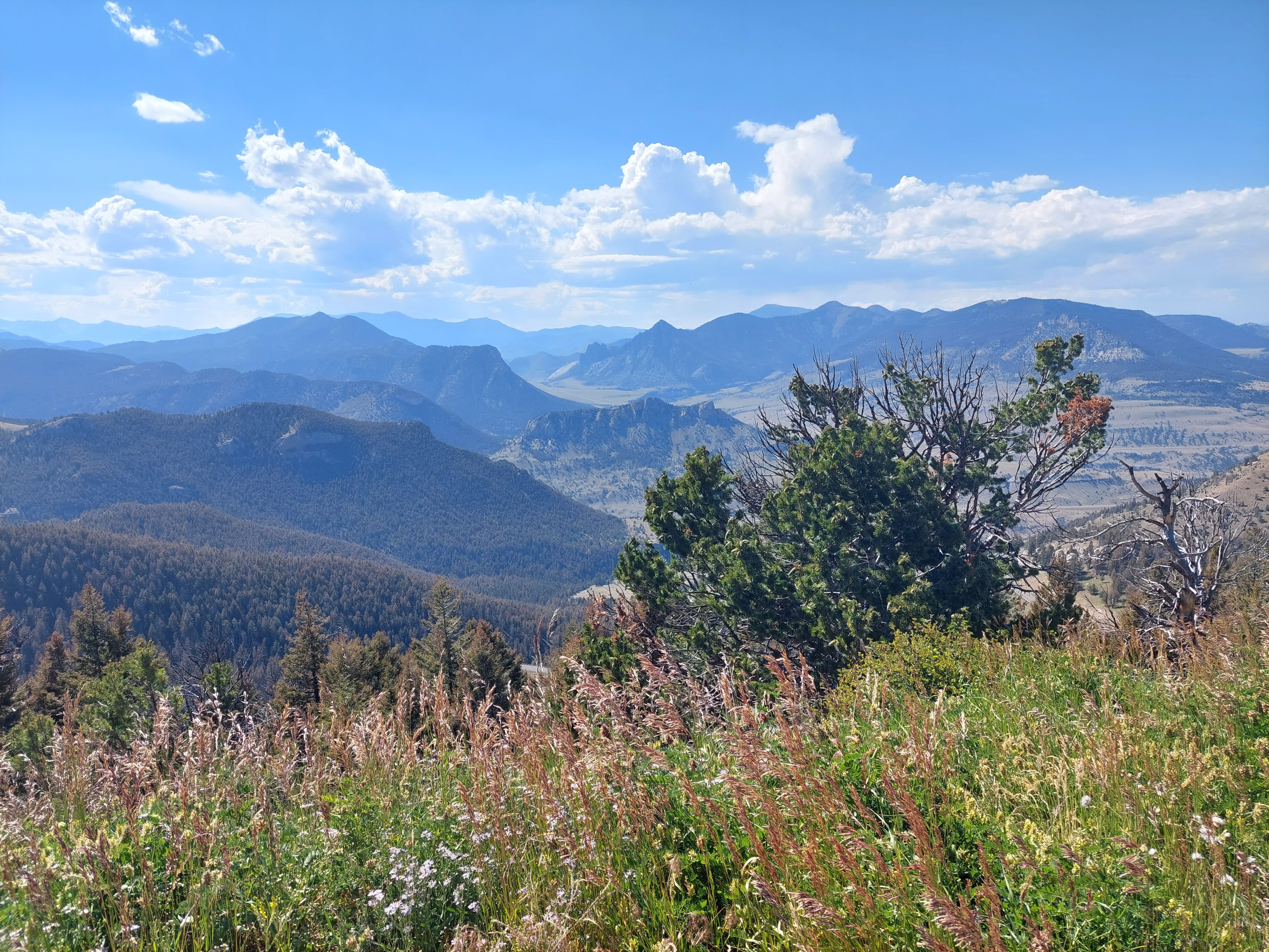 Bear Tooth Highway Wyoming Side