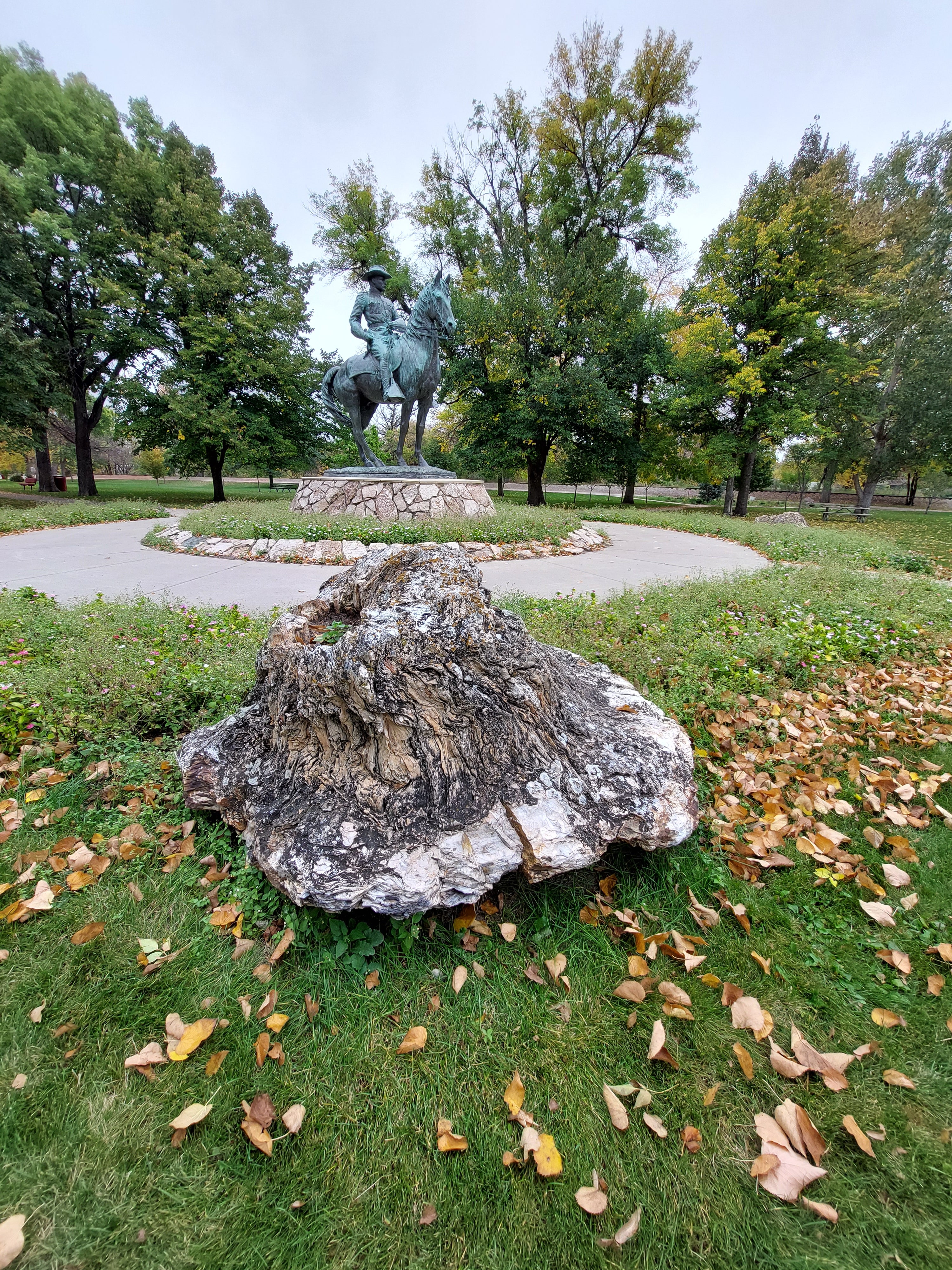 Minot Teddy Roosevelt