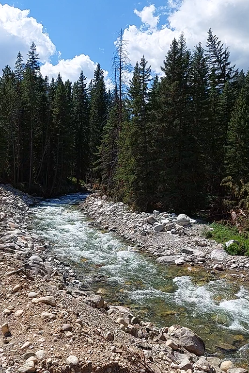 Bear Tooth Highway Montana Wyoming